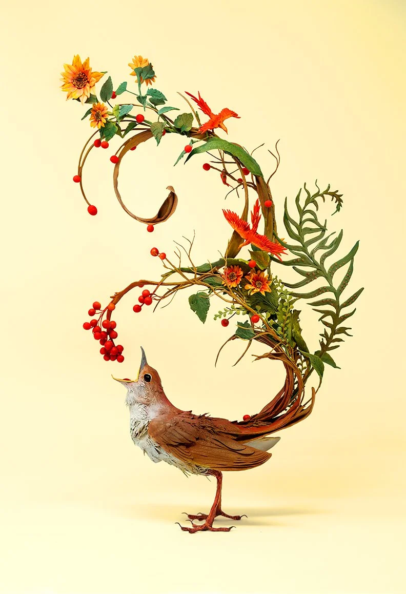 Ellen Jewett Print Shop — Ellen Jewett Sculpture